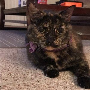 Meet your Posher, Kalista